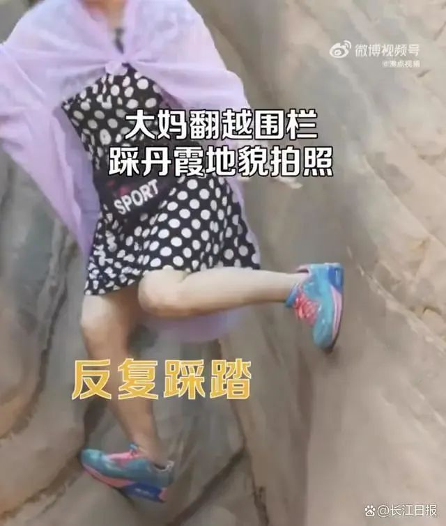 DƬ